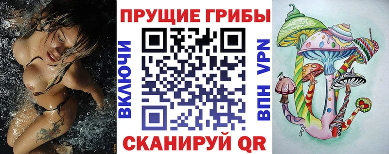 Псилоцибиновые грибы Psilocybe OMG ссылка Иннополис что такое наркотик
